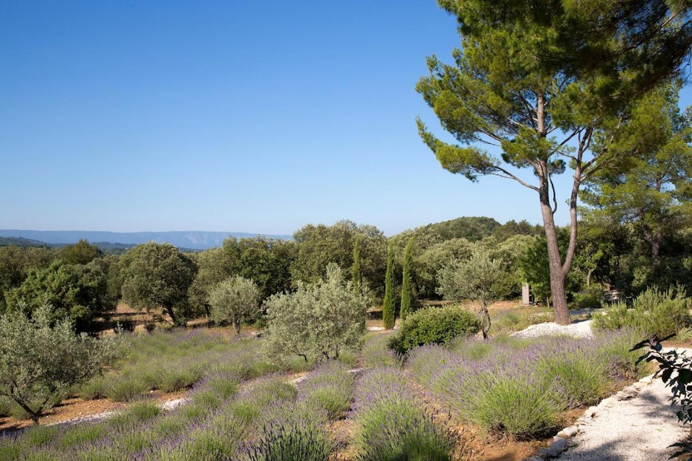 La Cle Des Champs, Boutique Hotel & Spa - Le Mas De Garrigon Roussillon en Isere Exterior foto